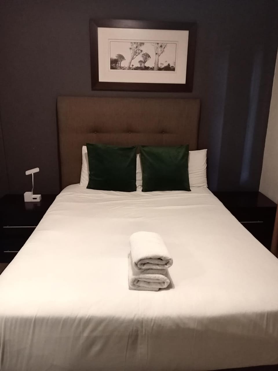 Angels Executive Suits Apartment in Sandton
