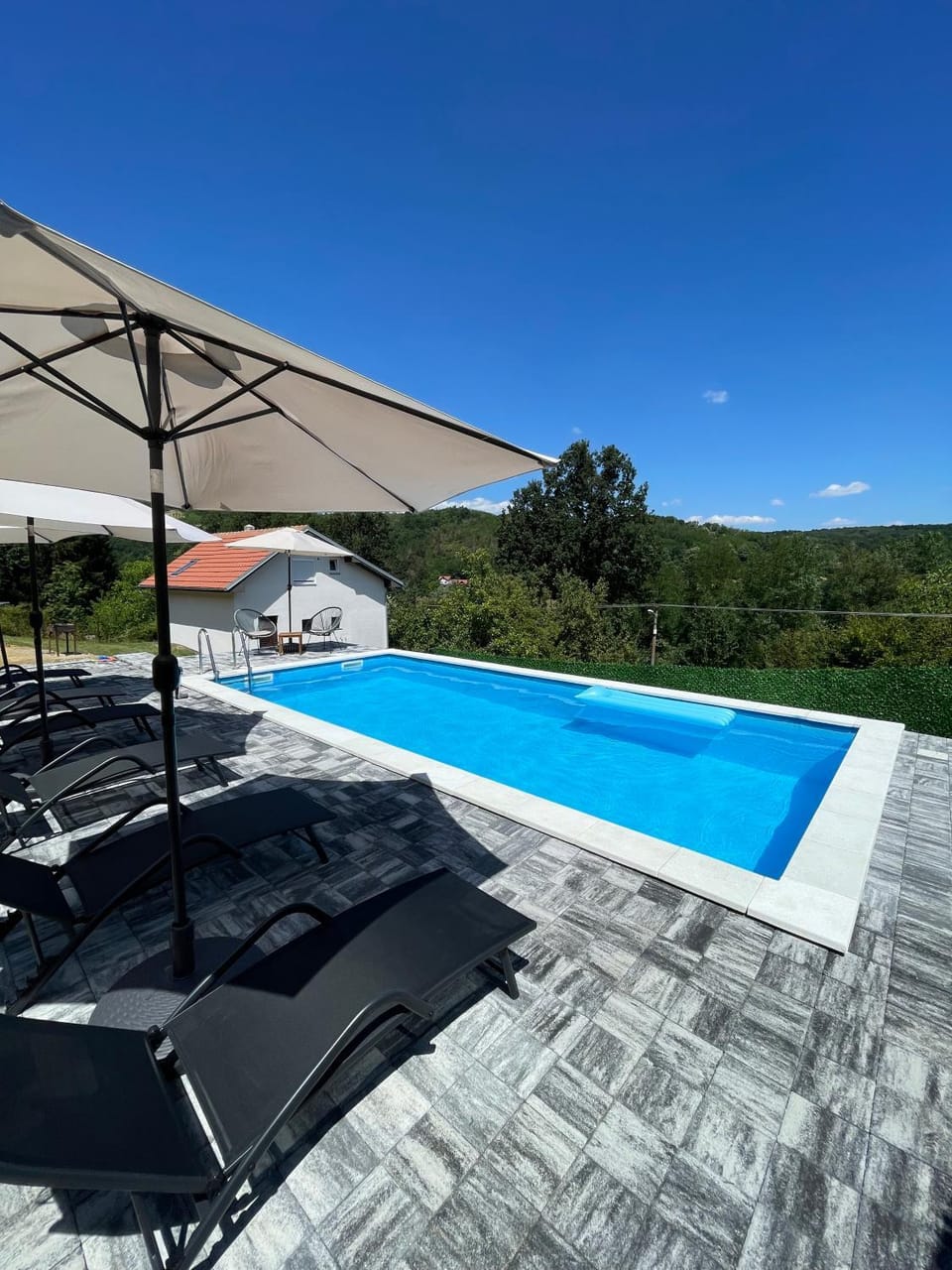 Villa Jaram Private Pool & BBQ Escape Villa in Serbia