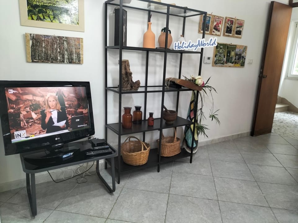 TV and multimedia