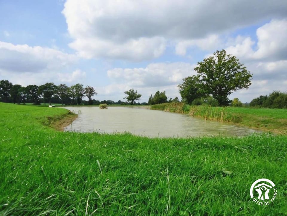 Natural landscape, Lake view