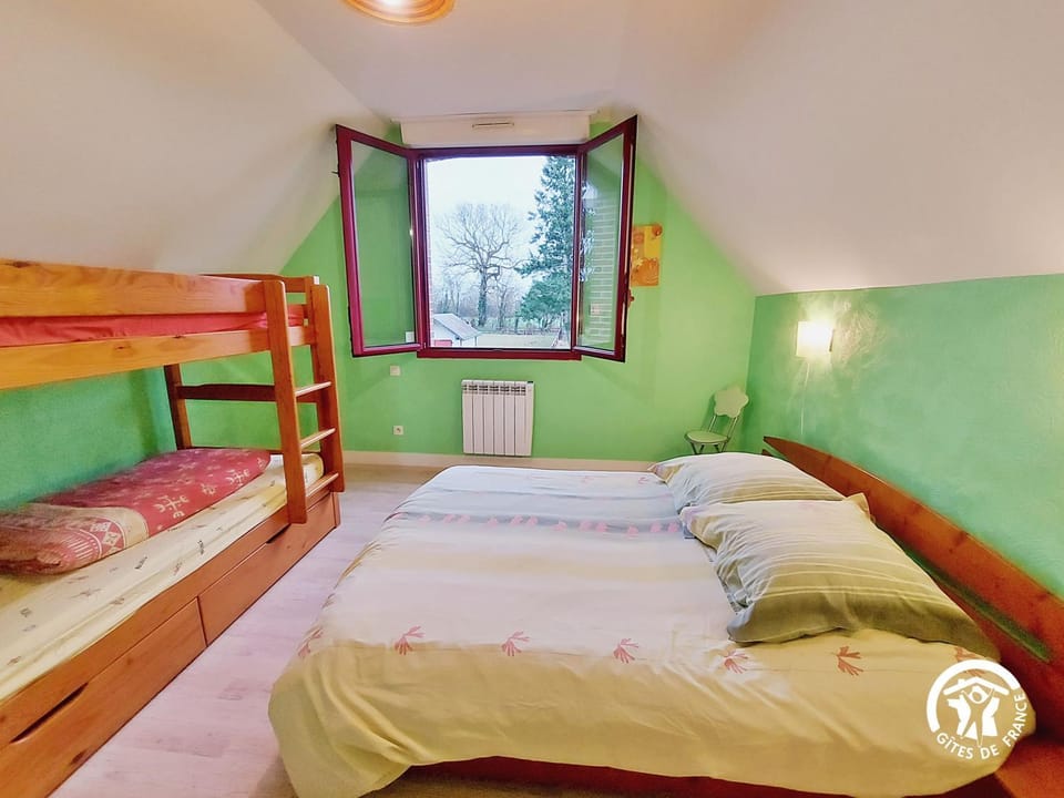 Bed, Photo of the whole room, Bedroom, bunk bed