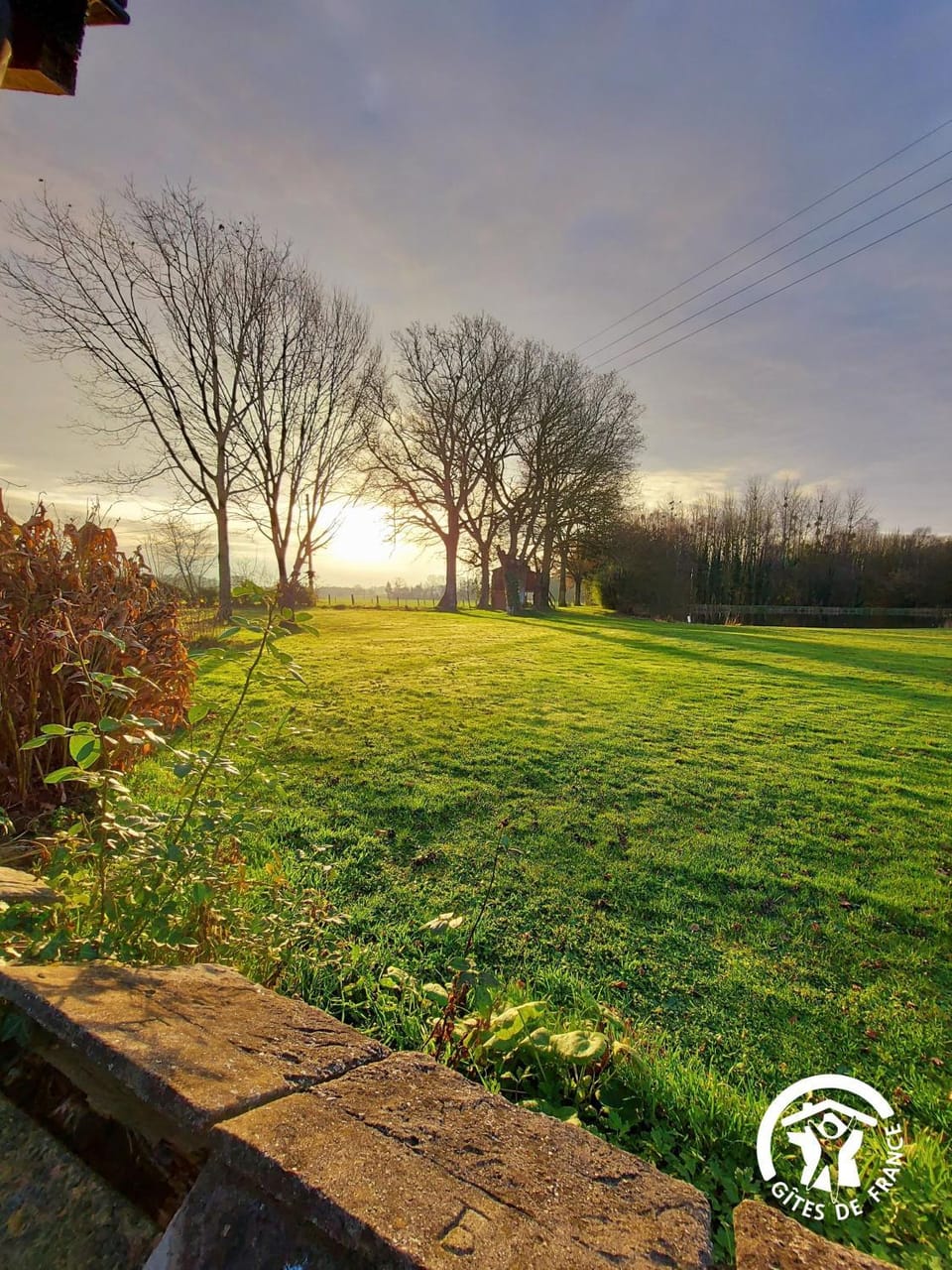 Garden, Garden view