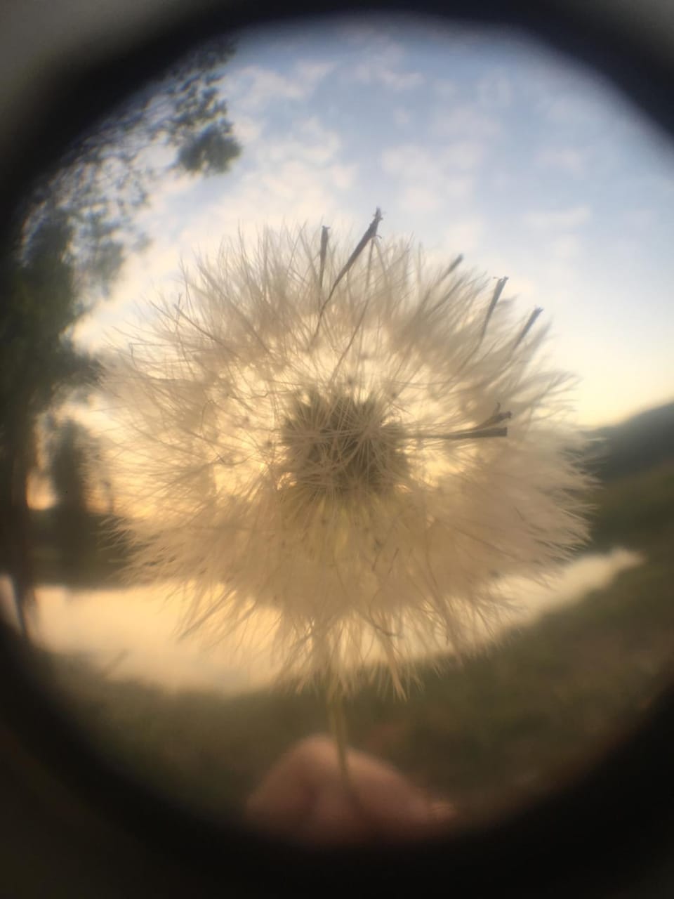 Day