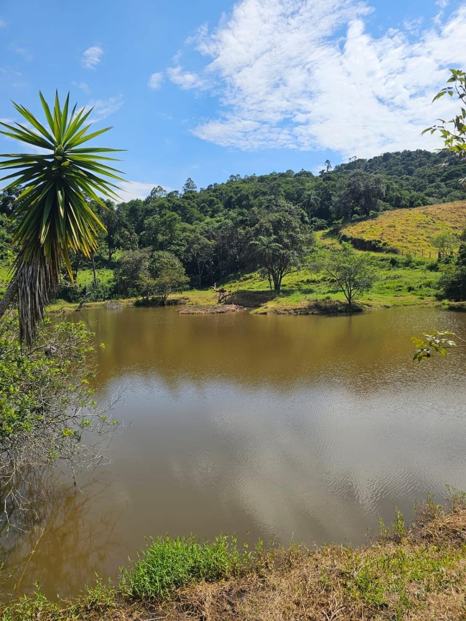 Lake view