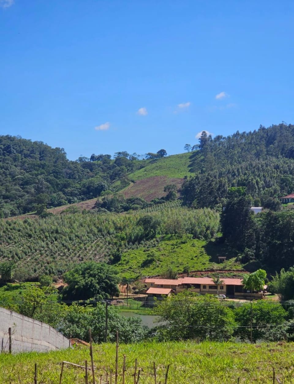 Natural landscape