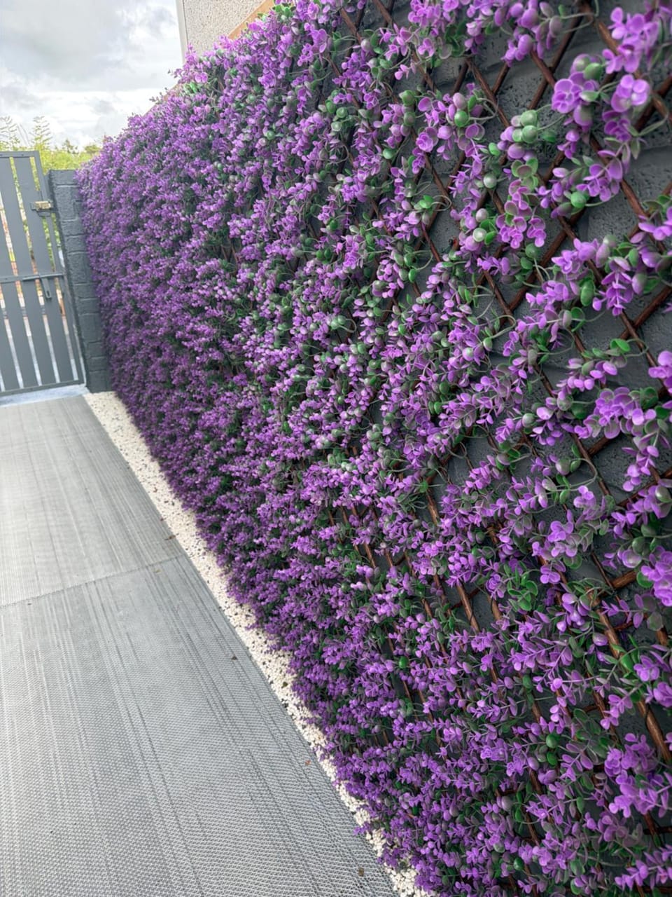 Property building, Garden, Garden