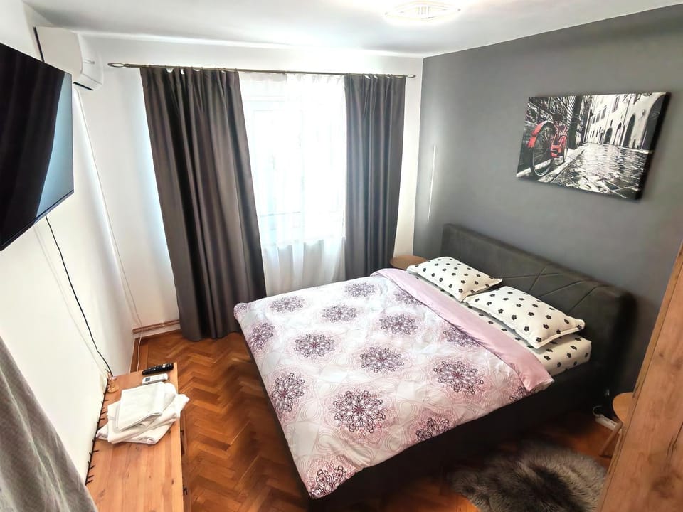 Cozy Home Apartment Apartment in Sibiu