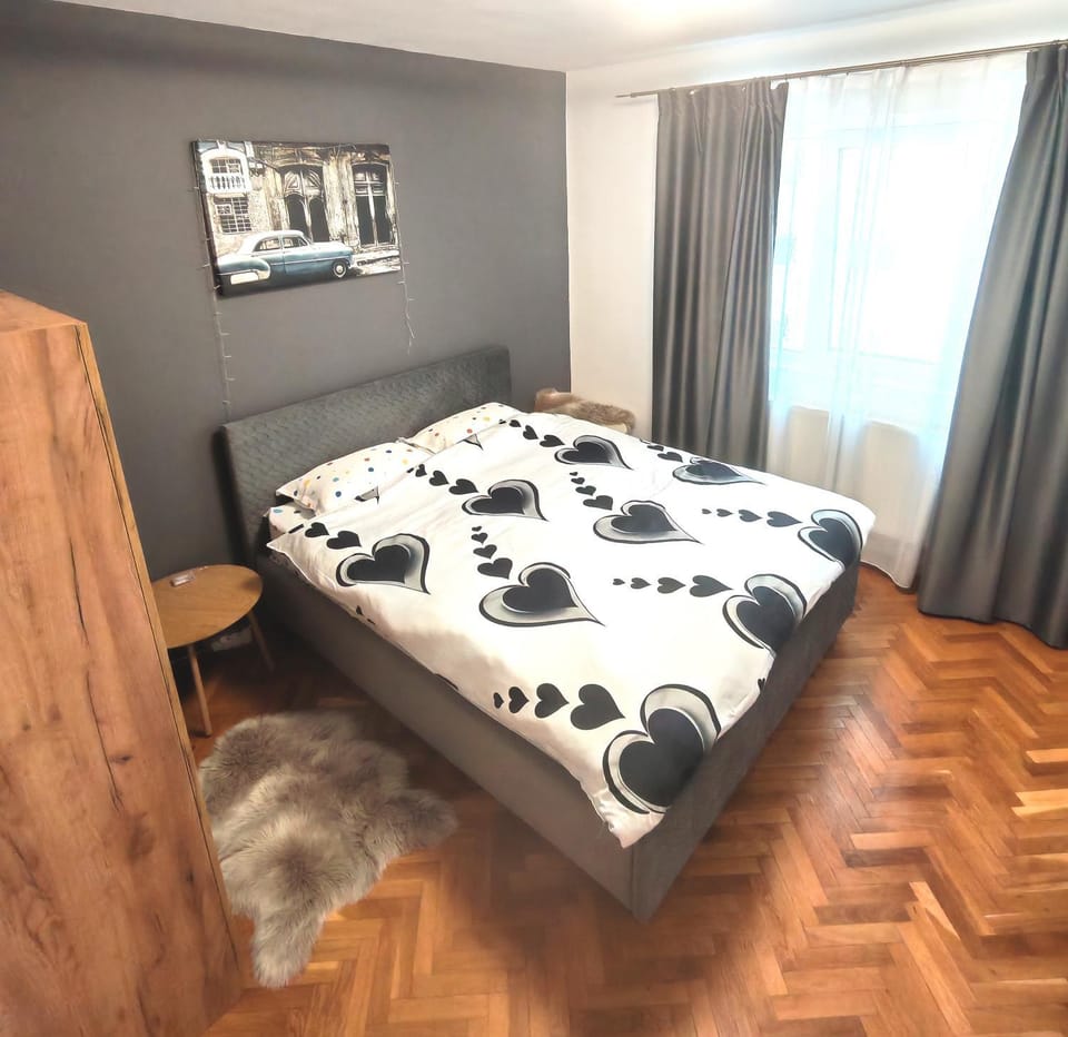 Cozy Home Apartment Apartment in Sibiu
