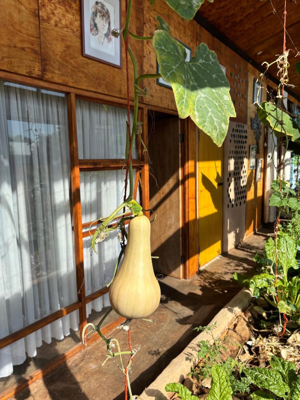 Garden view