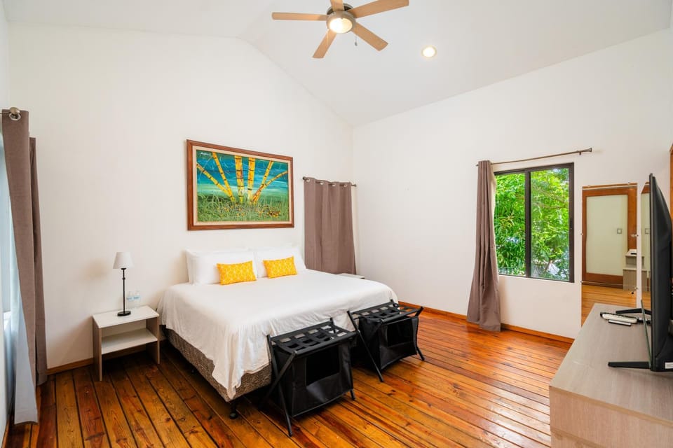 Casa Milo House in Managua