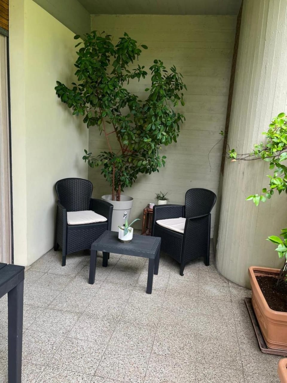 Appartamento il Gelsomino Apartment in Arezzo