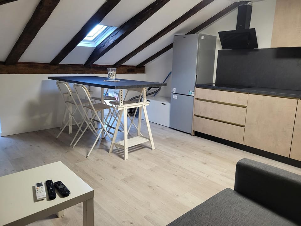V&V Center Apartment Apartment in Rijeka