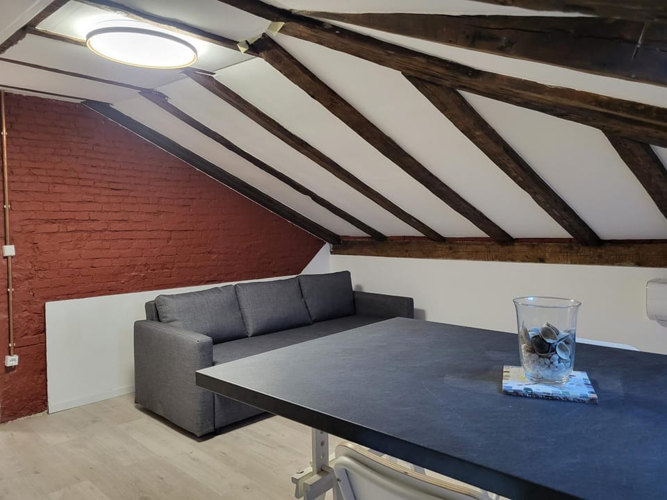 V&V Center Apartment Apartment in Rijeka