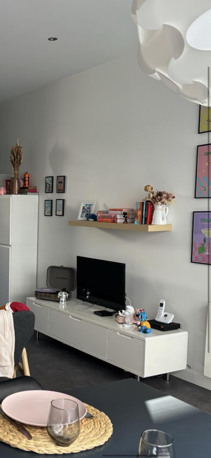 TV and multimedia