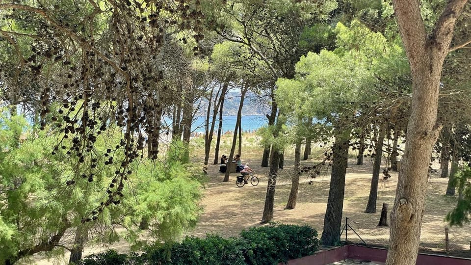View (from property/room)