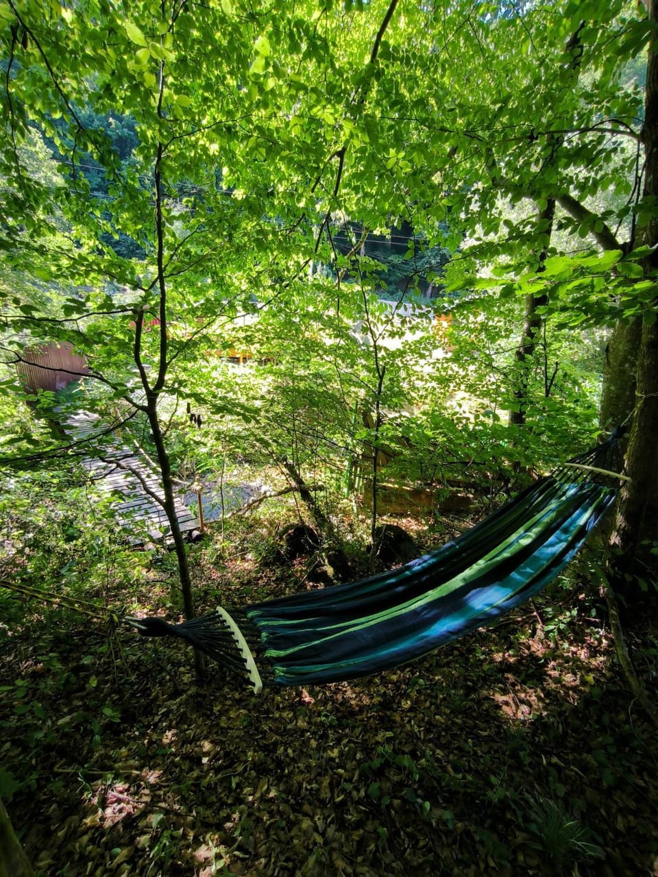 Day, Natural landscape