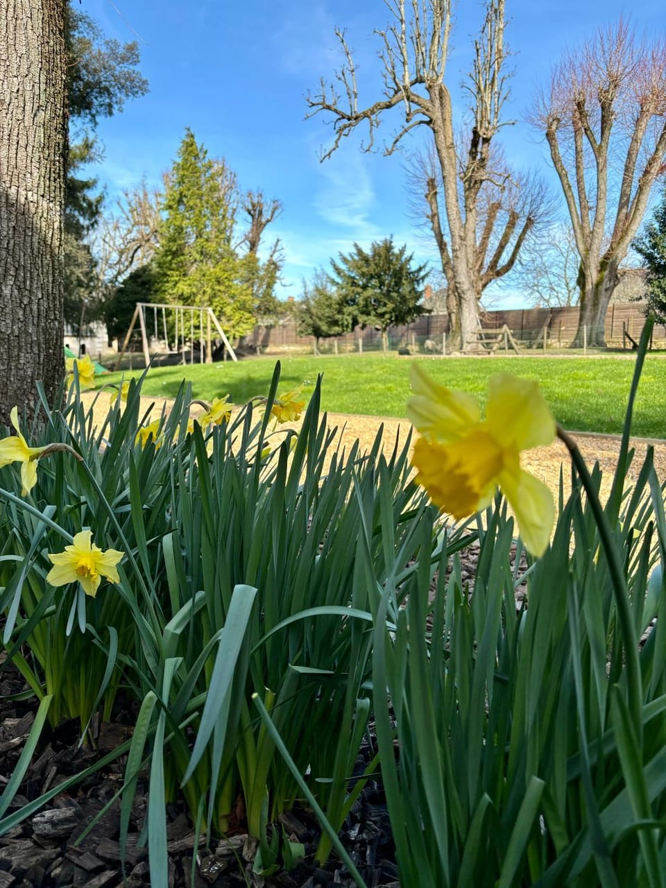 Spring, Natural landscape, Garden, Garden