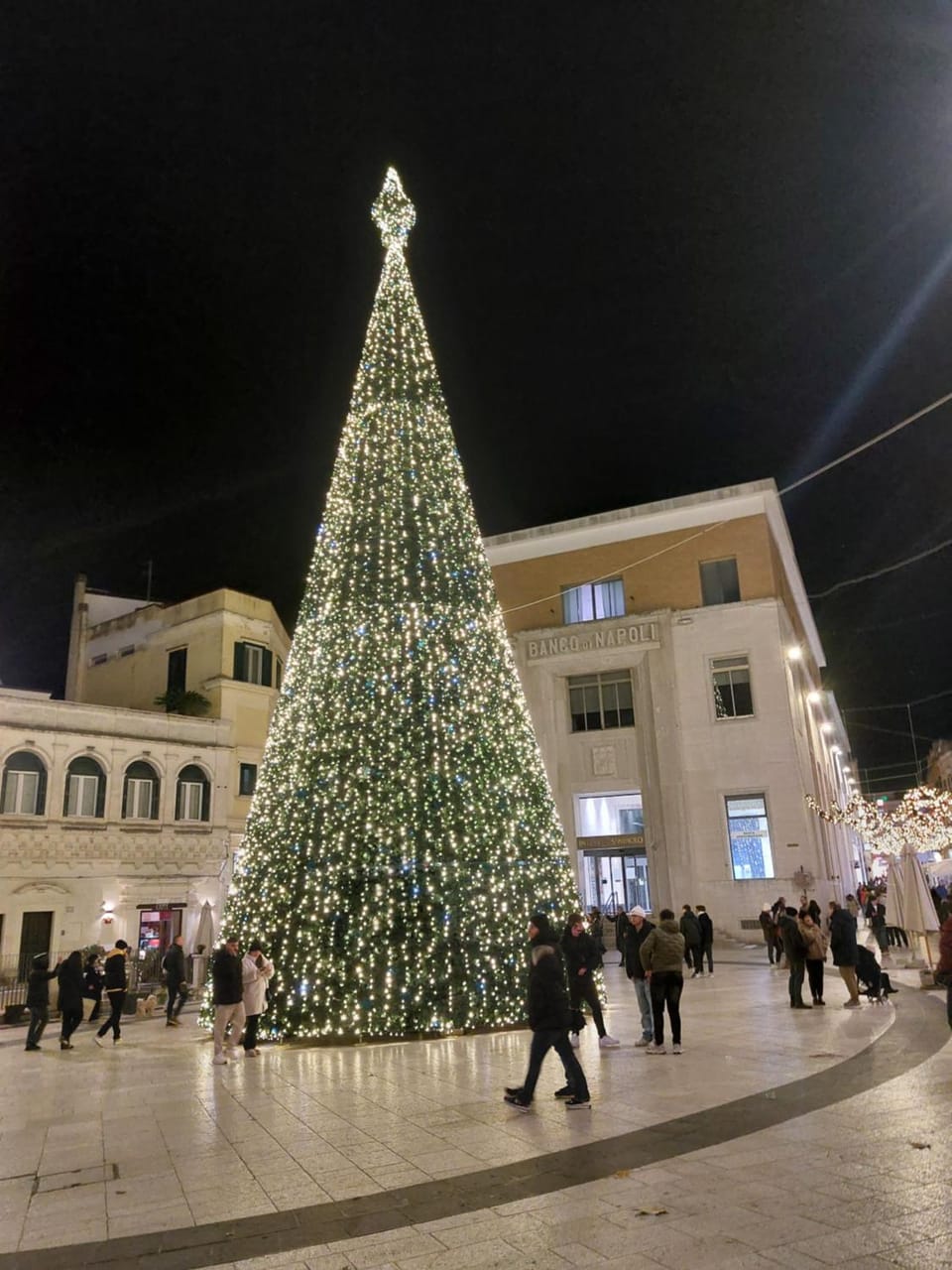 Sunflower Rose Apartment in Matera
