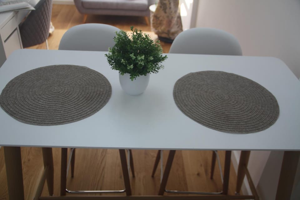 Central Kaunas Apartment Apartment in Lithuania