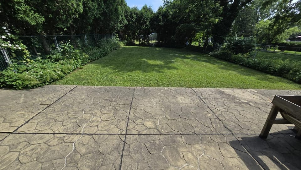 Patio, Spring, Natural landscape, Garden