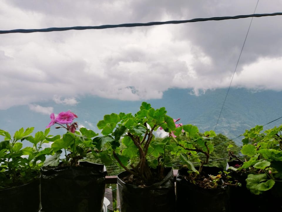 Hidden glow stay Vacation rental in West Bengal