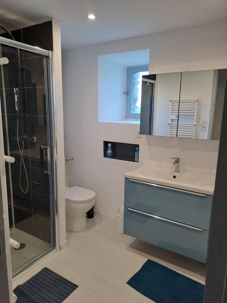 Shower, Toilet