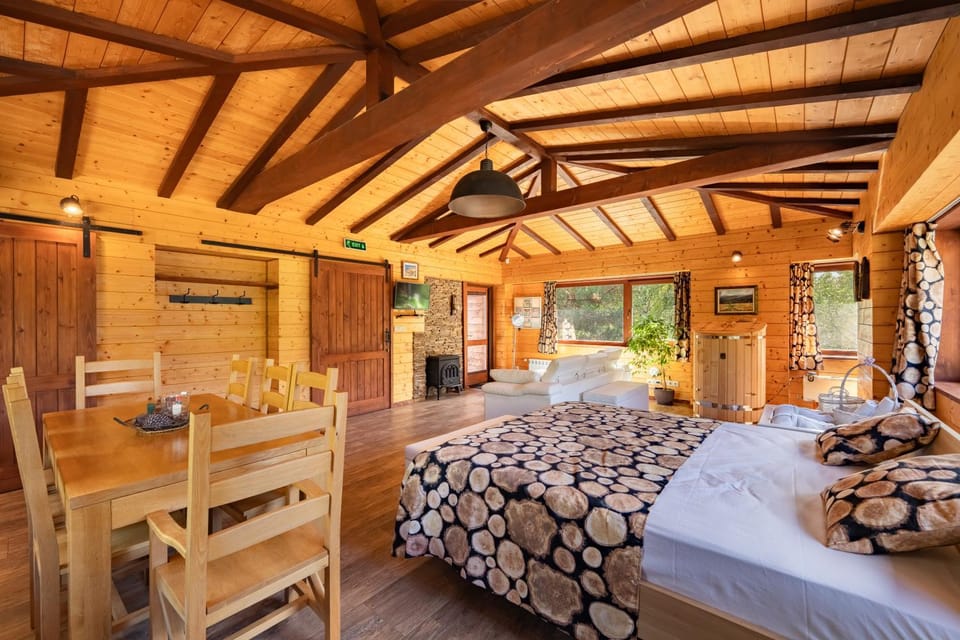 Bed, Living room, Photo of the whole room, Seating area, Dining area, Bedroom, Family, heating