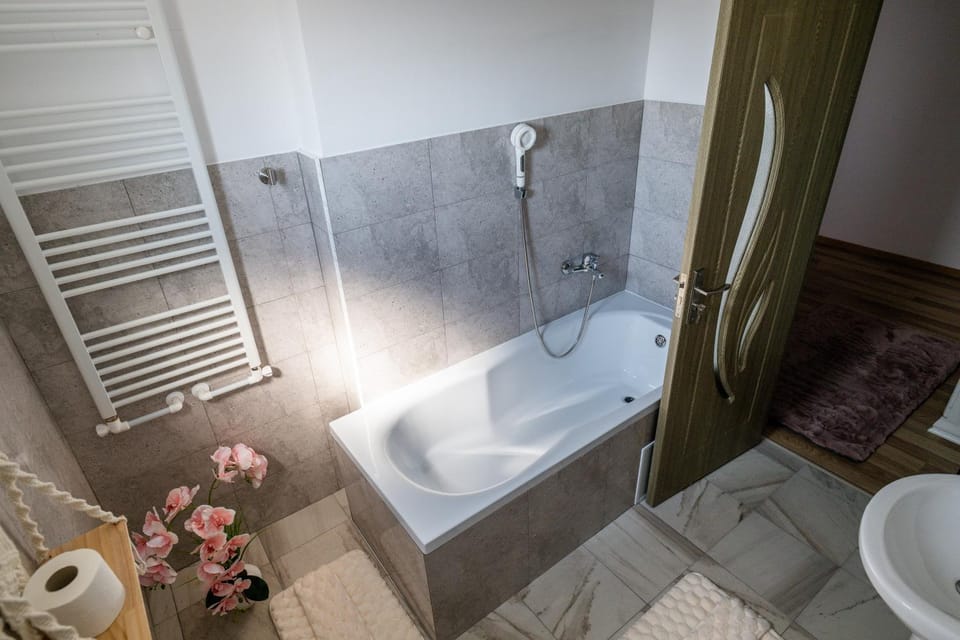 Apartament de închiriat Accommodation Apartment in Romania