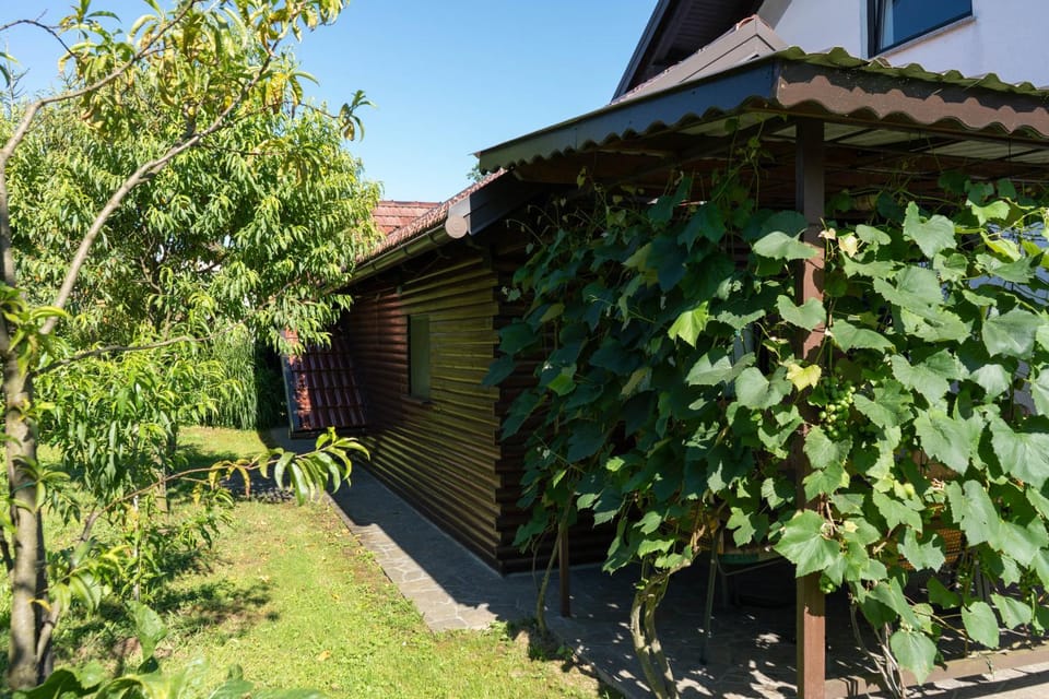 Garden, Balcony/Terrace, Garden view