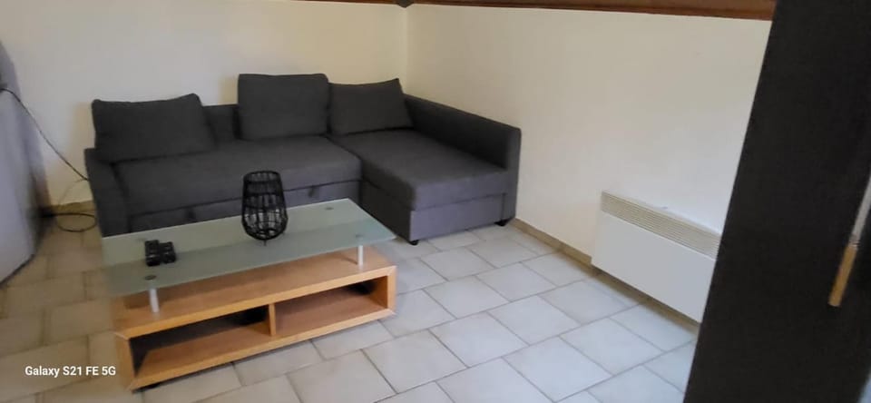 Grand Studio Centre Geneve Apartment in Geneva