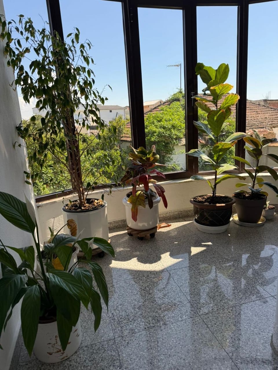 Hill Haven Guesthouse Bed and Breakfast in Tirana County, Albania