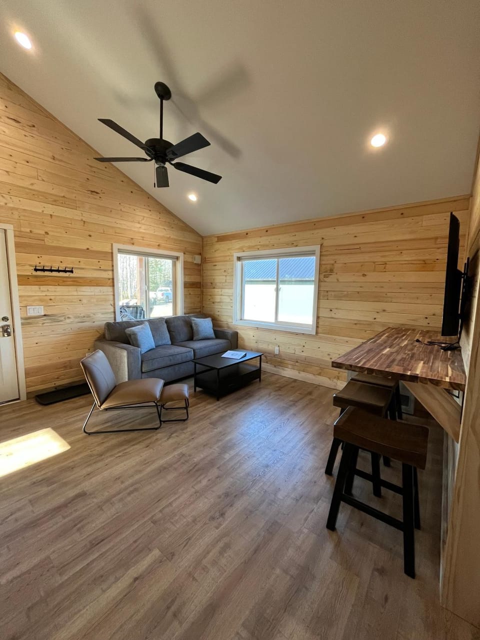 TV and multimedia, Living room, Seating area, Evening entertainment