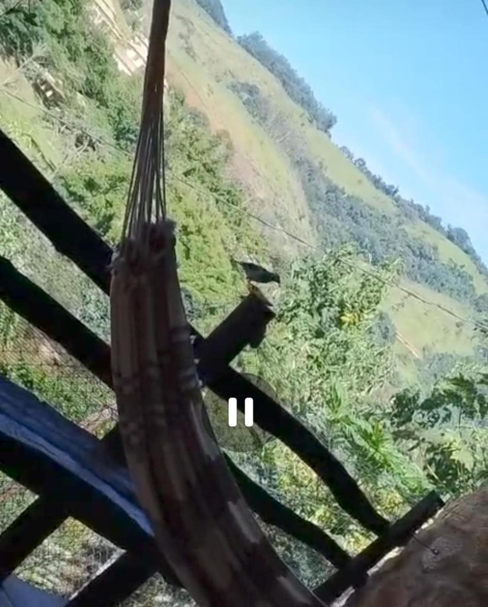 Natural landscape