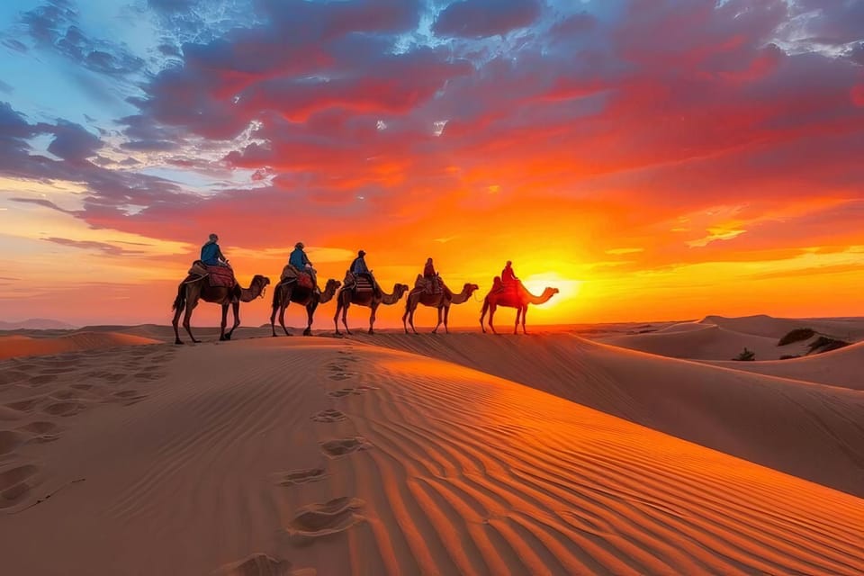 Natural landscape, Animals, Sunset, group of guests