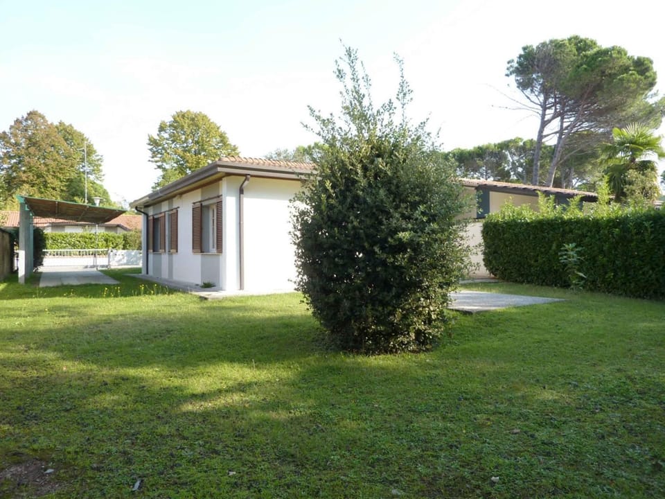 Property building, Summer