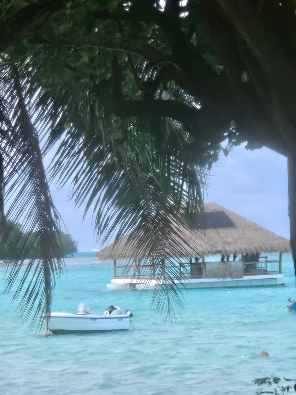 Bungalow paradisiaque en bord de lagon Fare Ananda Bed and Breakfast in Moorea-Maiao