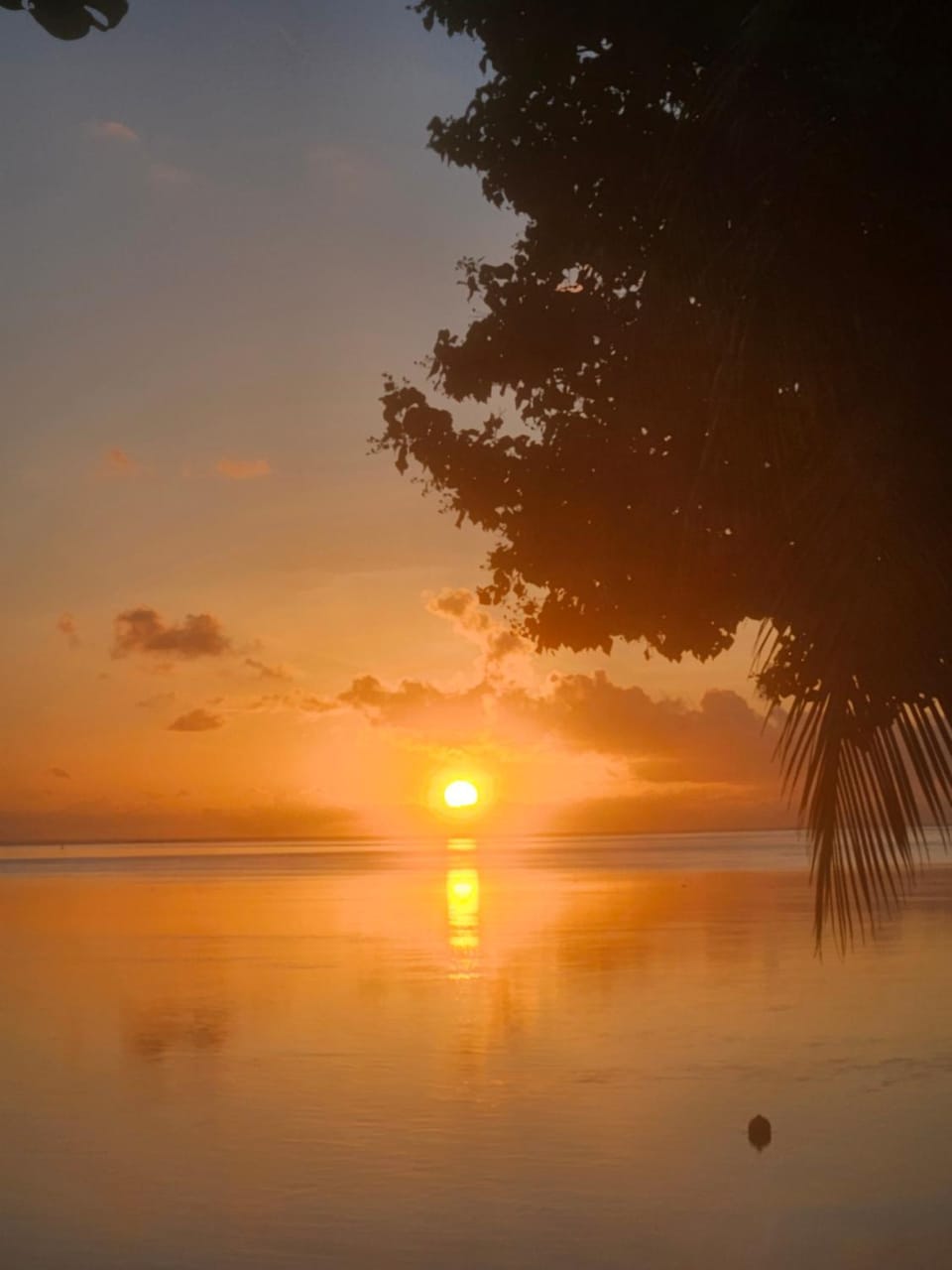 Bungalow paradisiaque en bord de lagon Fare Ananda Bed and Breakfast in Moorea-Maiao