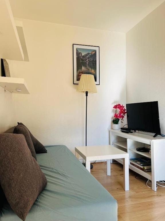 Nogent sur Marne Appartement en plein centre ville Apartment in Nogent-sur-Marne
