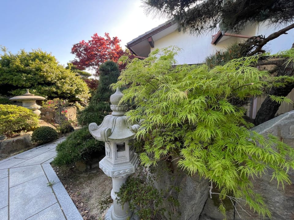 Day, Garden, Garden view