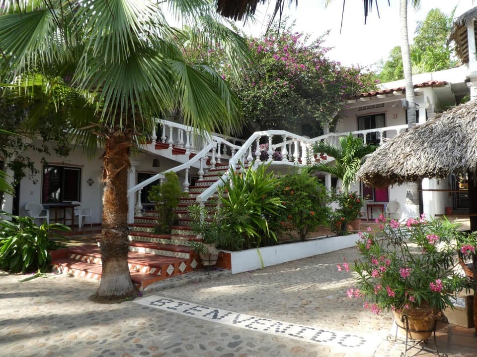 Property building, Garden view