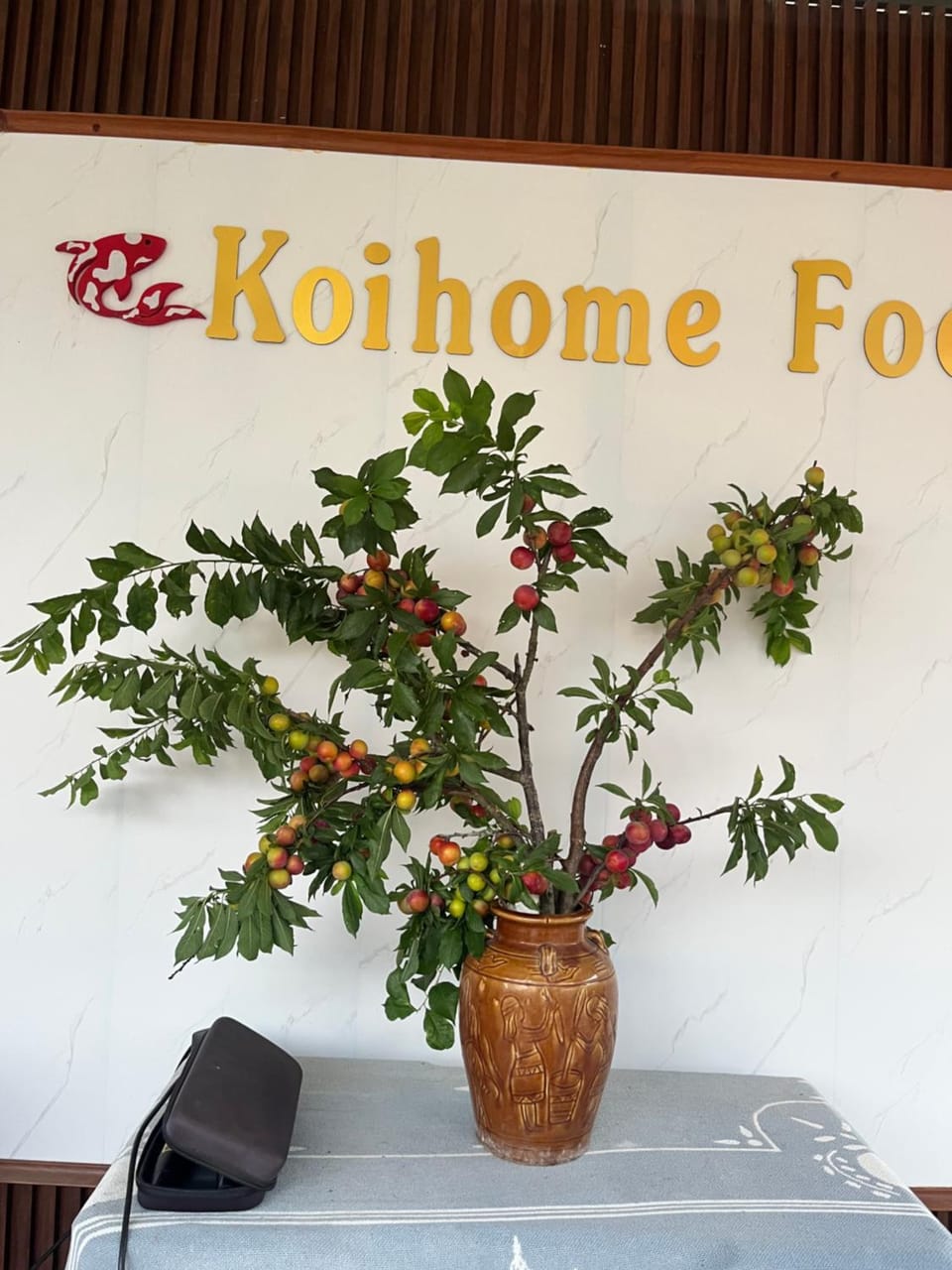 Koi Home 286 Mộc Châu Bed and Breakfast in Vietnam