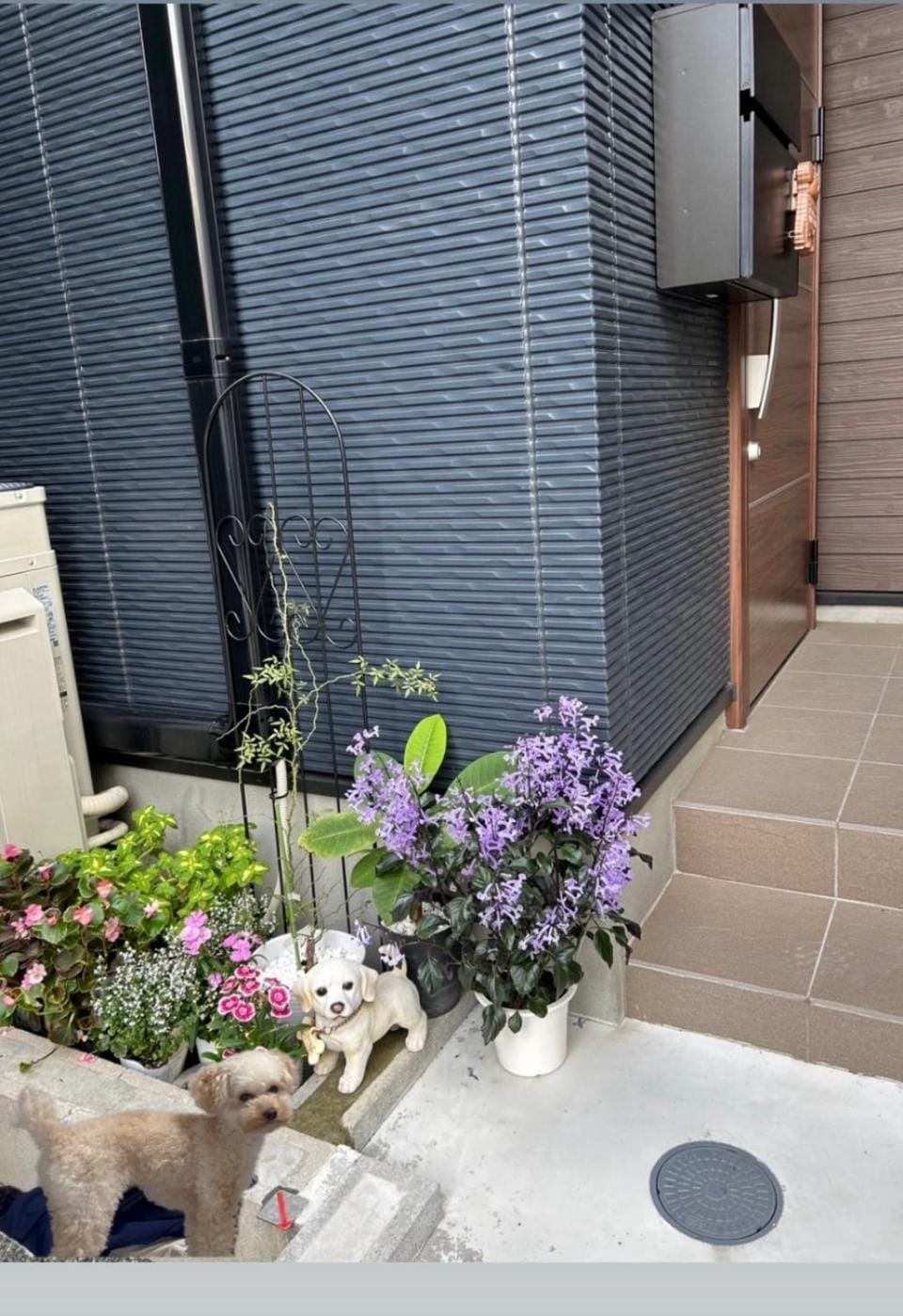 白樺ハウス女性&家族専用 送迎あり小型犬可 Bed and Breakfast in Kanagawa Prefecture