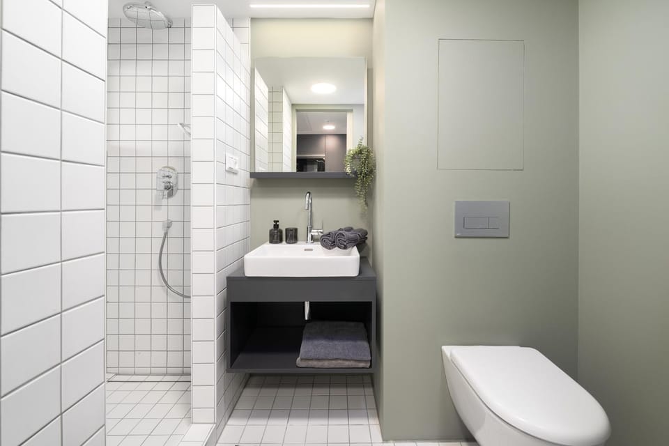 Shower, Toilet, Bathroom, towels