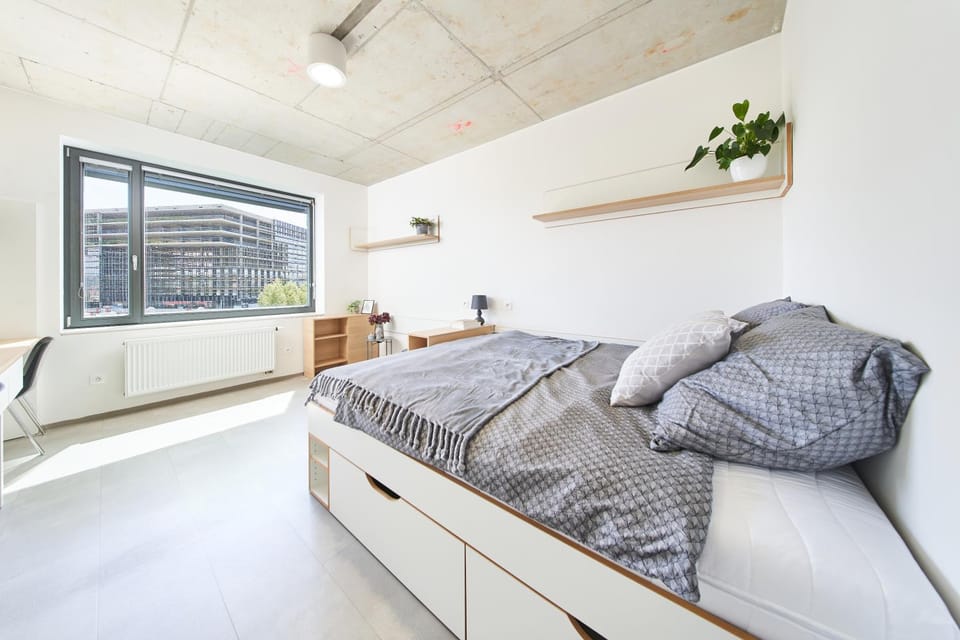 Bed, Bedroom