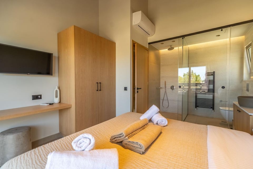Shower, Toilet, Bed, TV and multimedia, Photo of the whole room, Bedroom, towels, wardrobe, air conditioner