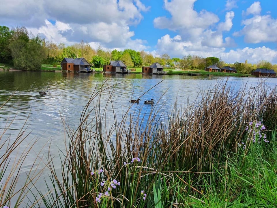 Natural landscape, Fishing, Lake view