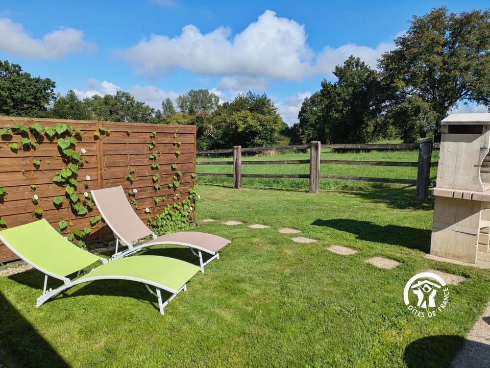 Day, Natural landscape, Garden, Garden view, sunbed