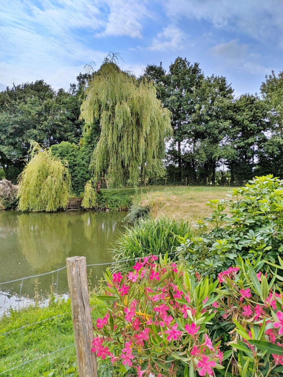 Natural landscape