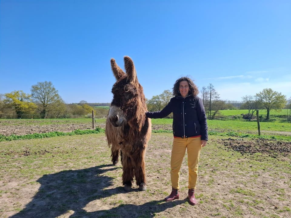 Animals