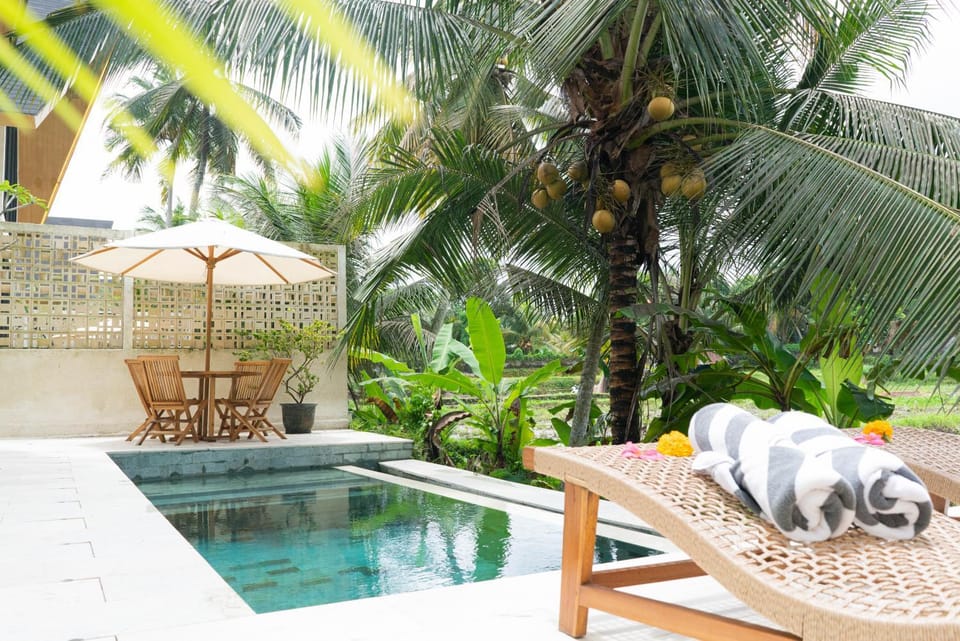 Pool view, Swimming pool